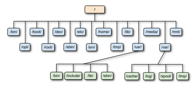 Ієрархія файлової системи Linux